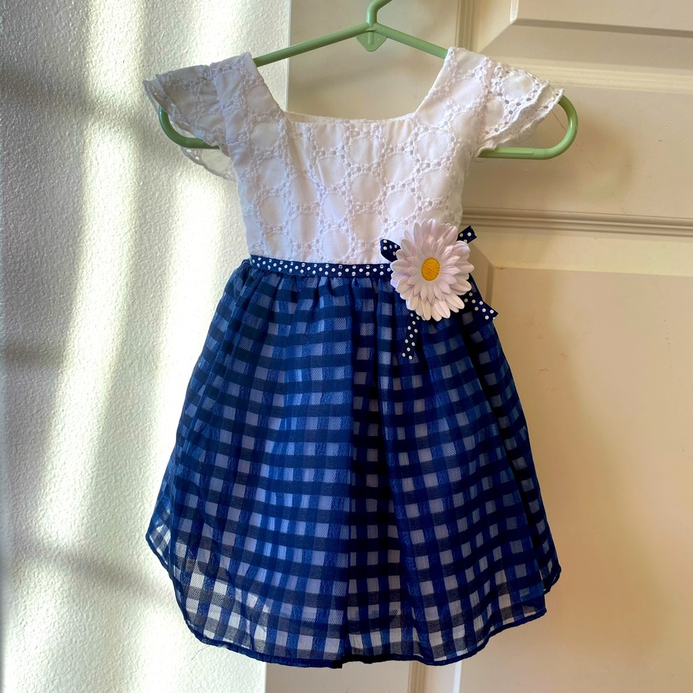 Sweet Heart Rose Little Girls dress, size 12 months